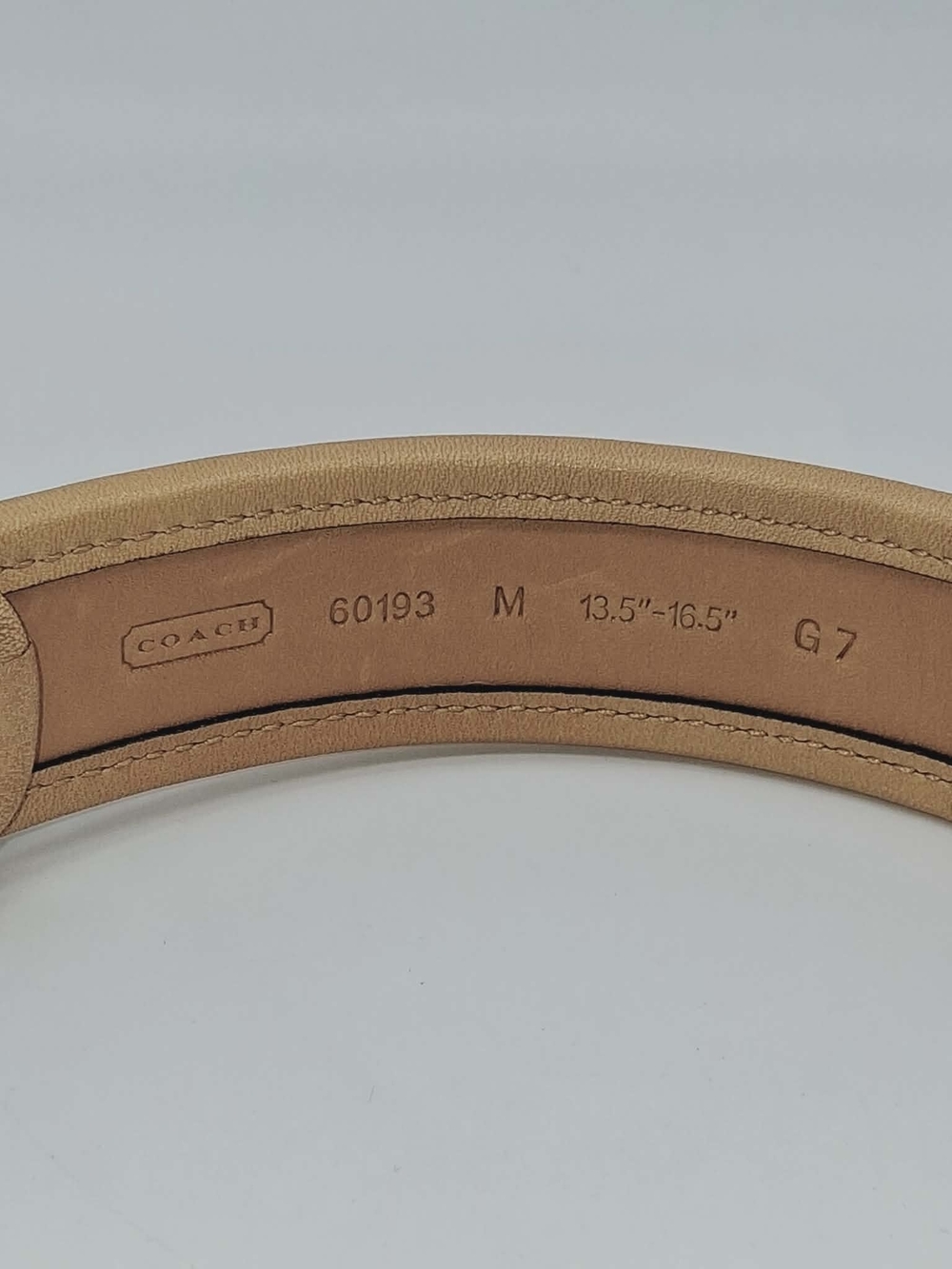 Coach Green and Natural Leather Dog Collar with Brass Medallion - Picture 2 of 9